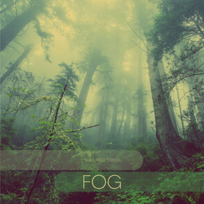 Fog - album cover